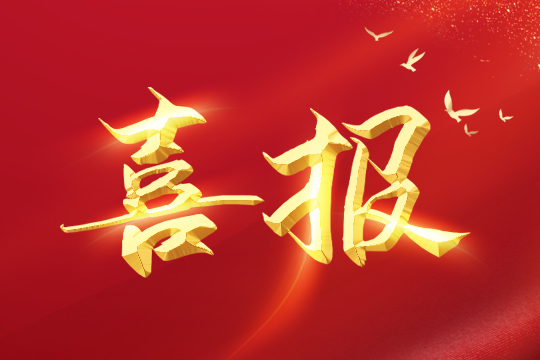 喜报 | 星空娱乐荣登2024粤港澳大湾区企业创新力榜单